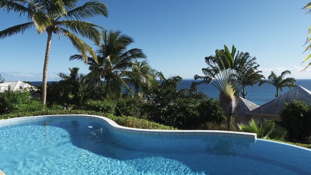 A swimming pool with clear blue water, surrounded by lush greenery and palm trees, with a view of the ocean in the background. - Amaudo (Saint-François)