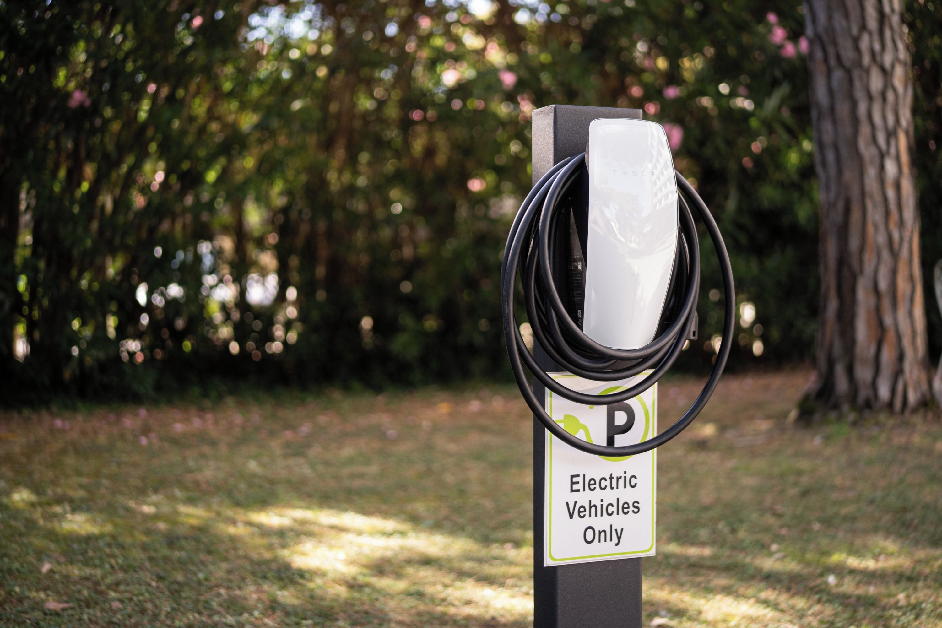 An electric vehicle charging station with a sign indicating 'Electric Vehicles Only' in a park setting.
