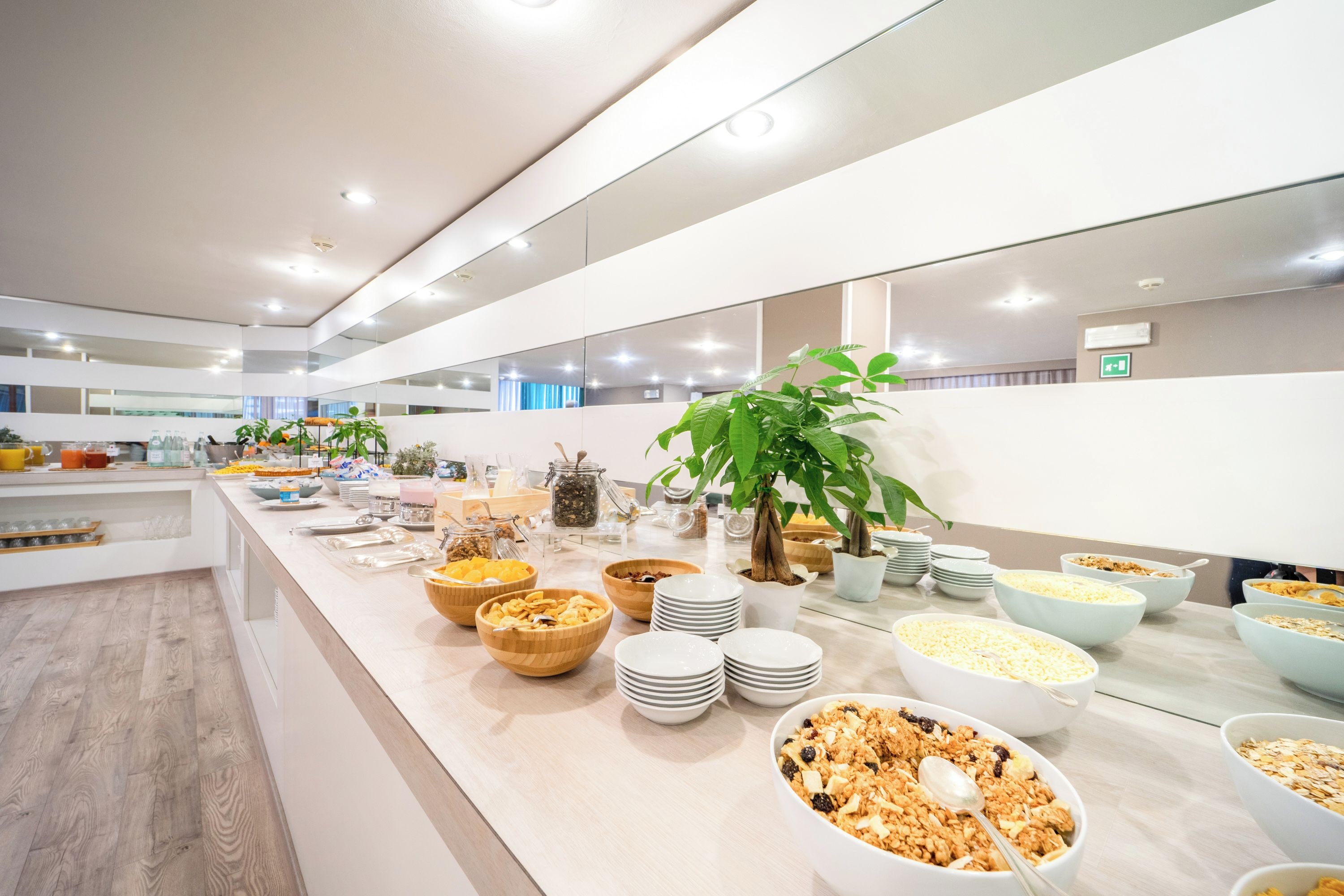 A buffet setup with various food items and a plant.