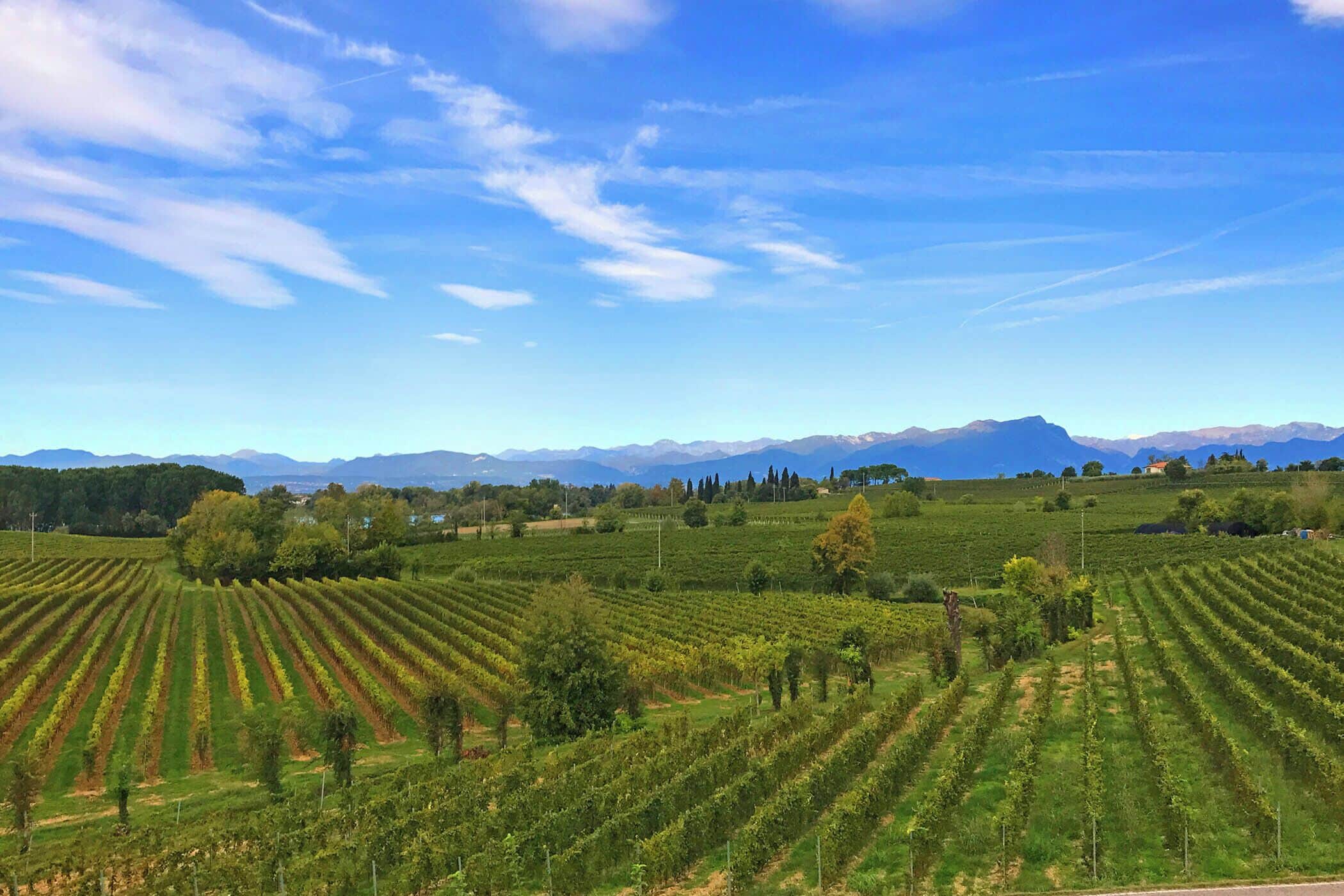 Photo - Hotel Nuova Barcaccia