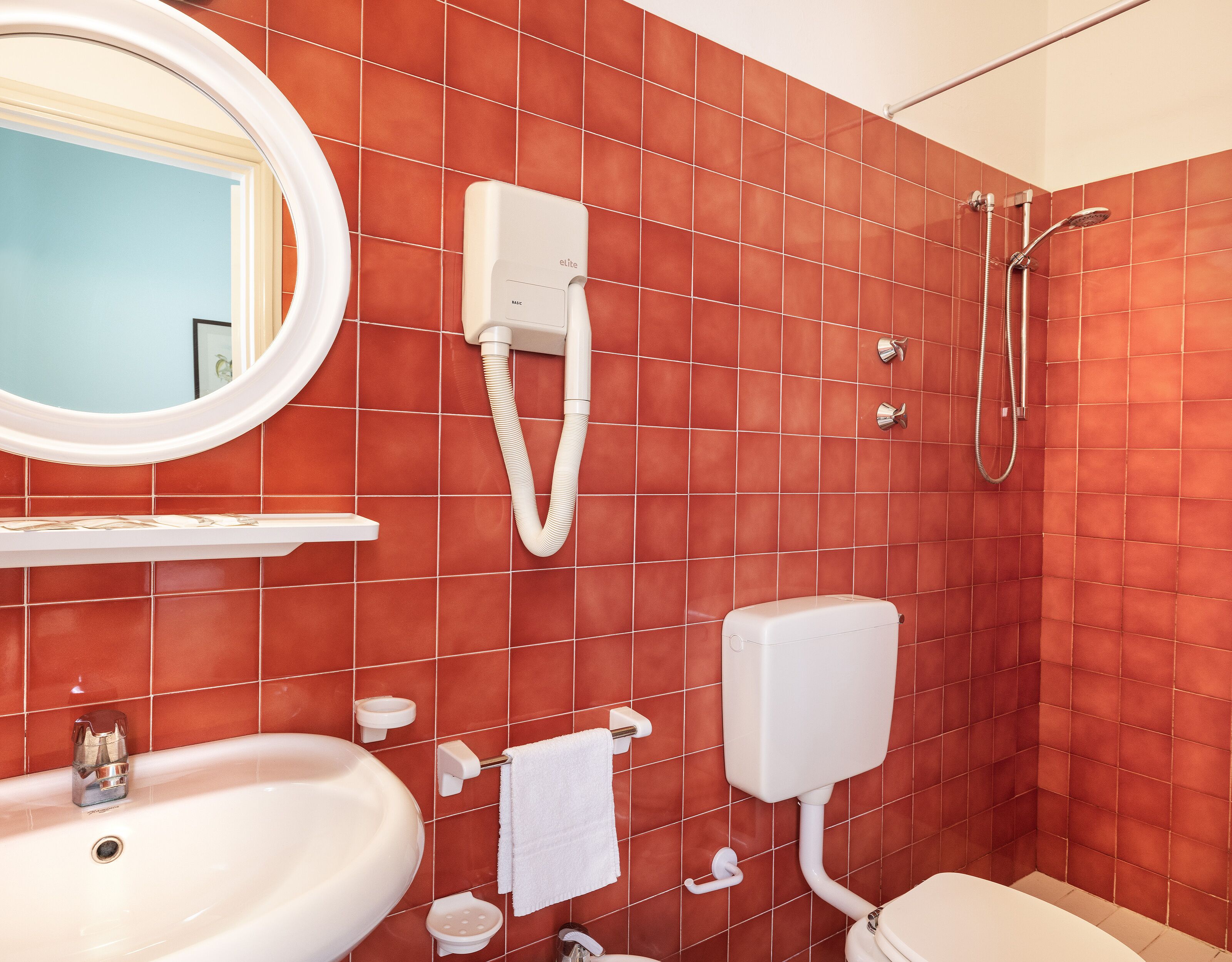 Une salle de bain avec un lavabo, des toilettes et une douche.