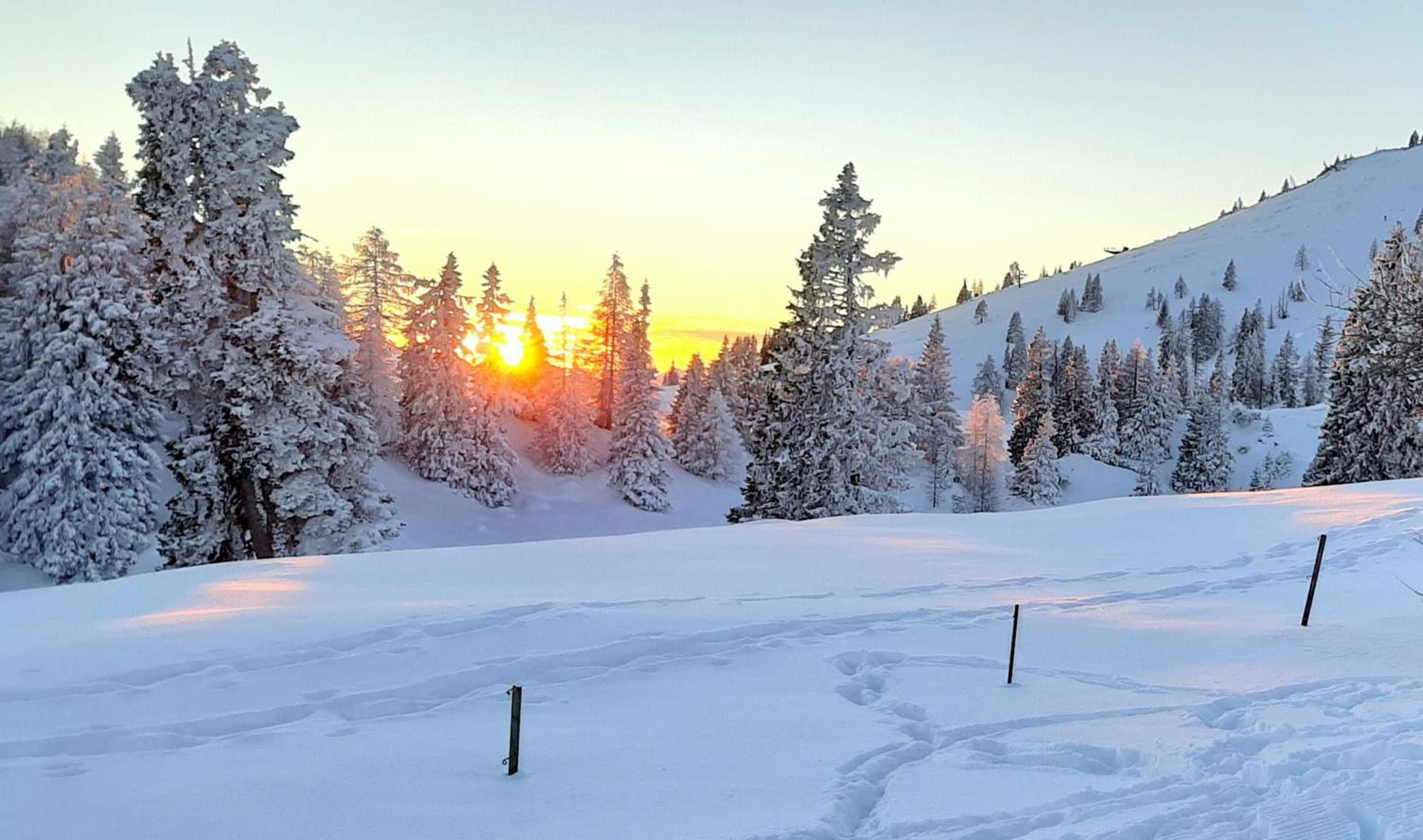 Et sneklædt landskab med klar himmel og solnedgang.