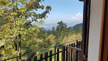 Double Room | Terrace/patio