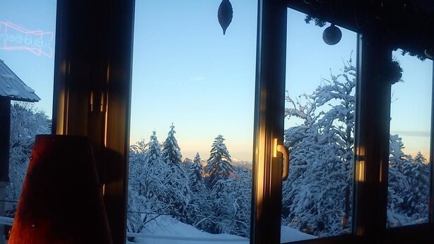 Vista a través de una ventana que muestra un paisaje nevado, con árboles y cielo despejado.