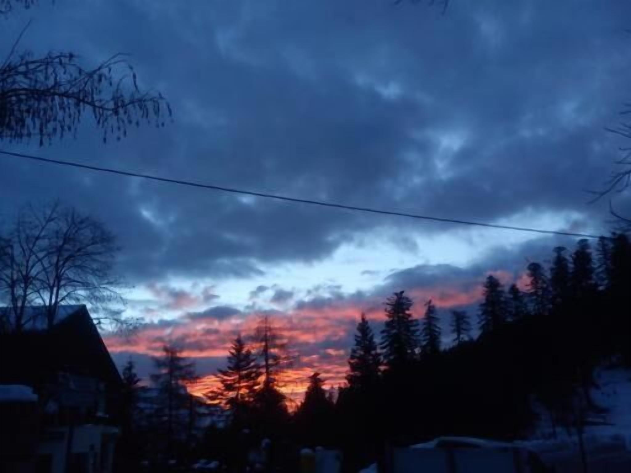 A residential area with houses and trees during sunset.