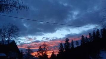 A residential area with houses and trees during sunset.