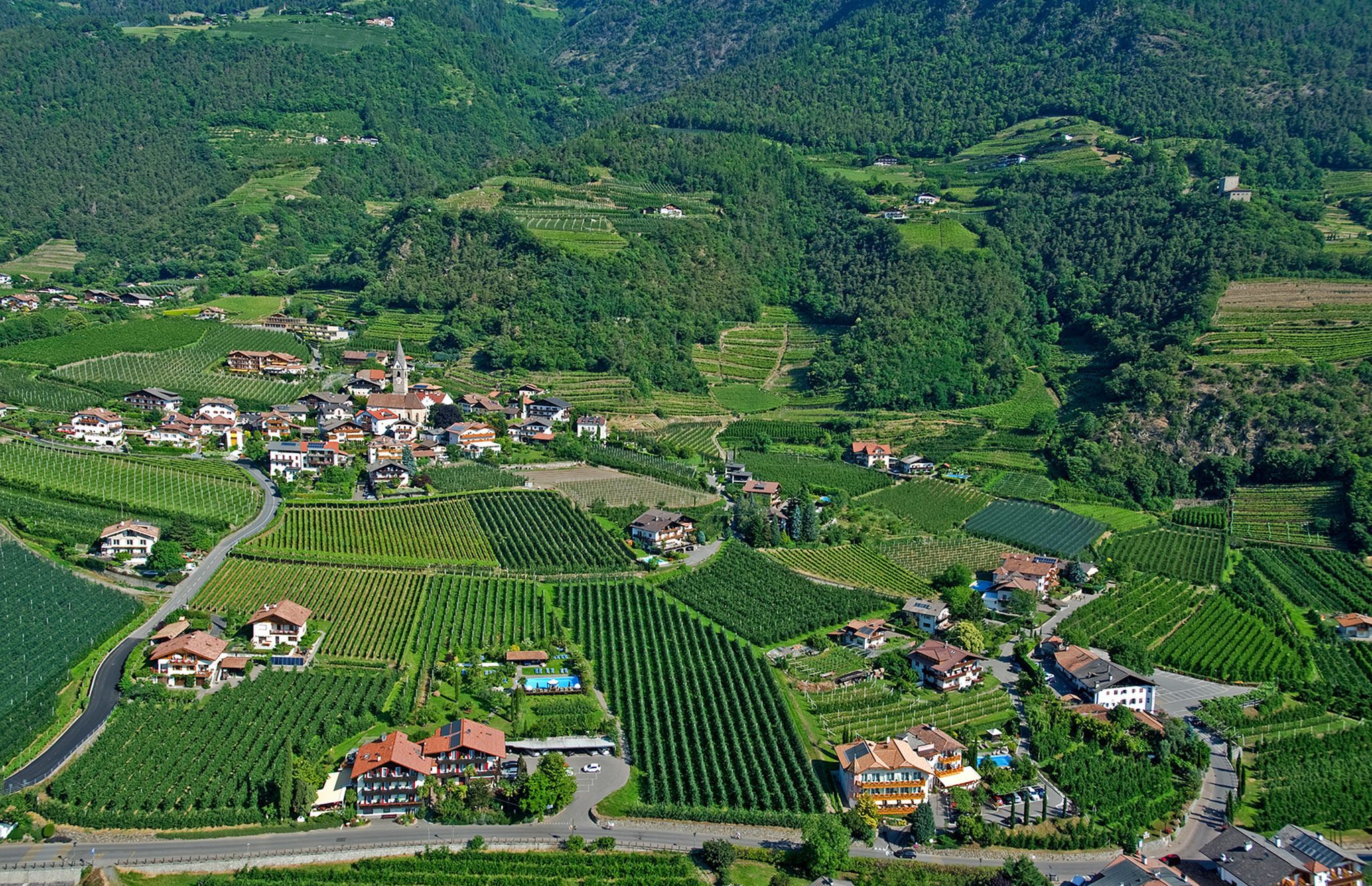Vista aérea de un pueblo con viñedos en terrazas, una iglesia y edificios residenciales.