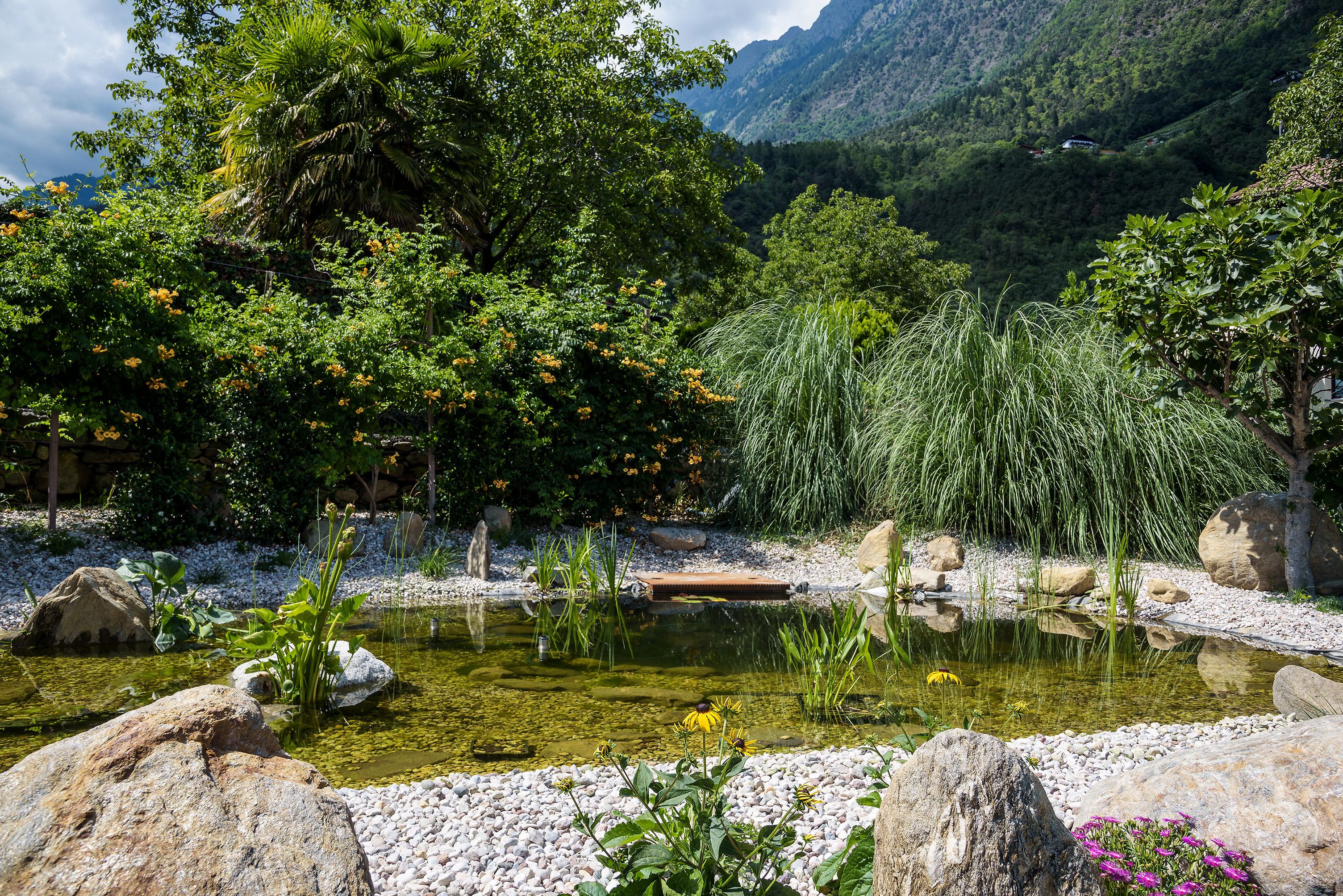 Un jardín tranquilo con un estanque, rodeado de rocas y diversas plantas.