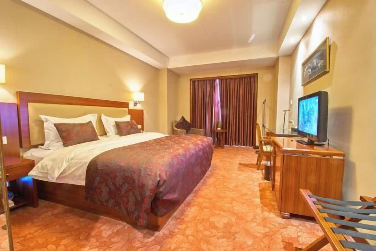 Een hotelkamer met een groot bed, een bureau met een computer en een televisie.