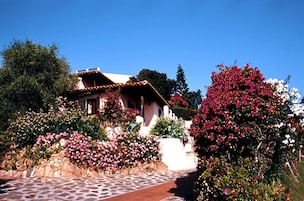 Standard Double Room, Garden View | View from room