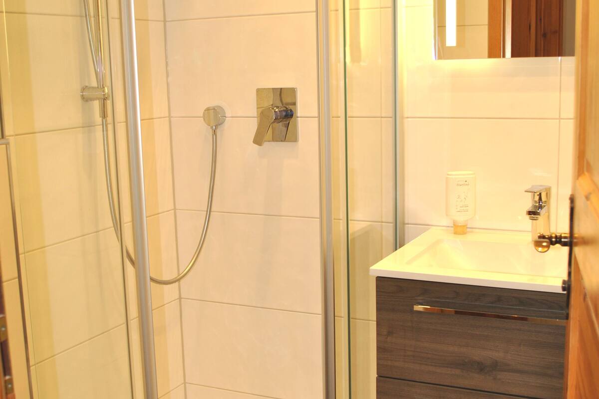 shower, free toiletries, hair dryer, towels