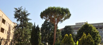 Alessandro III