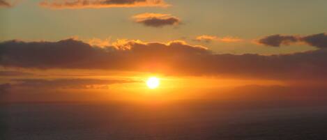 A sunset over the ocean with silhouettes of trees and a distant shoreline.