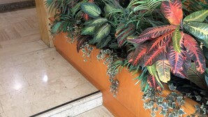 A reception area with a marble floor, wooden reception desk, and a variety of potted plants. - Hotel Città Studi (Milan)