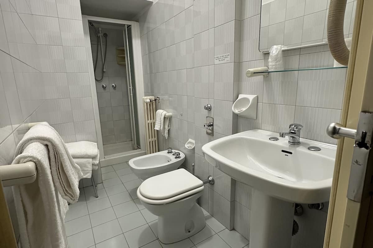 hair dryer, bidet, towels