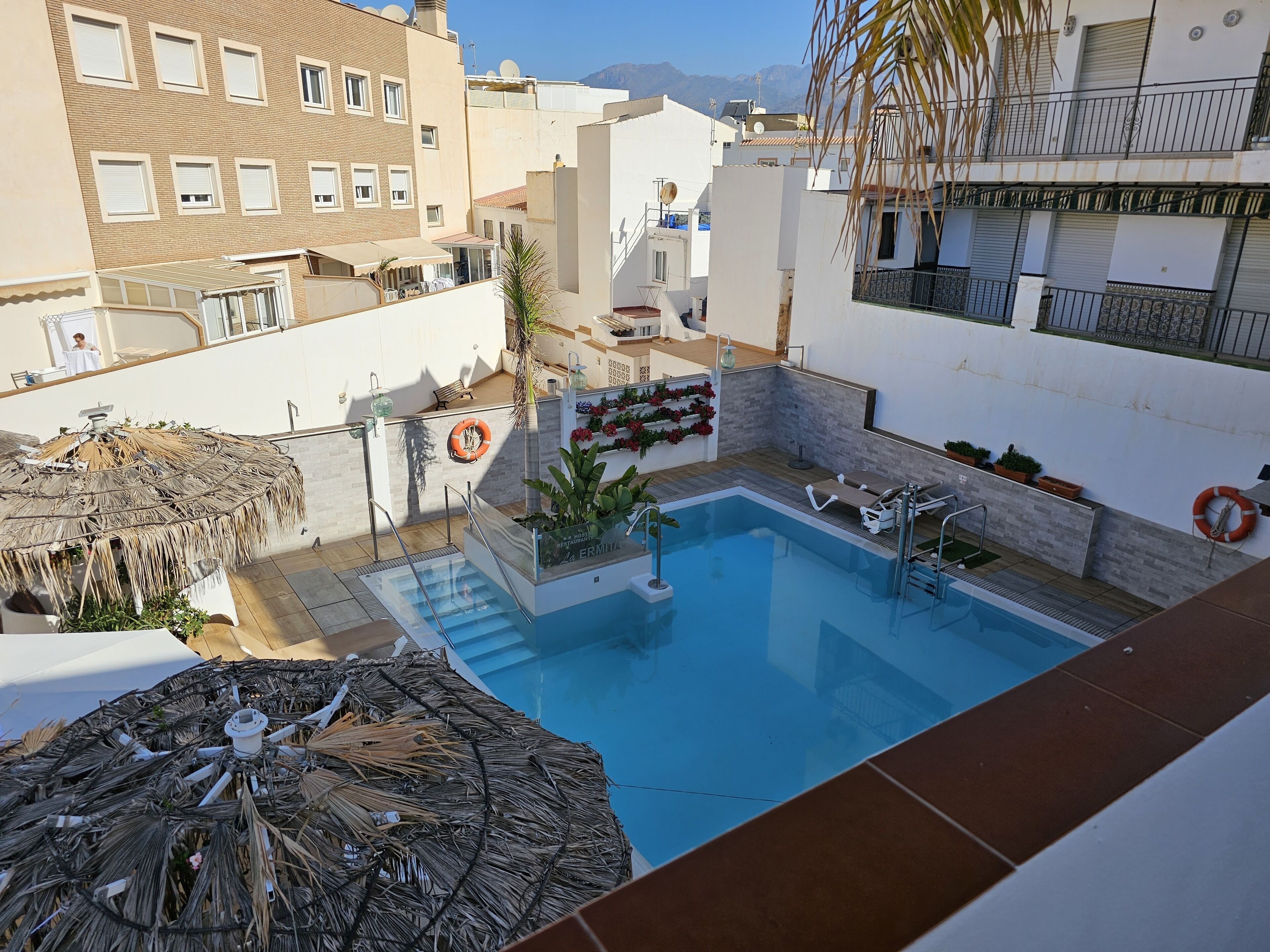 A rooftop pool with a thatched umbrella, a lifebuoy, and potted plants.