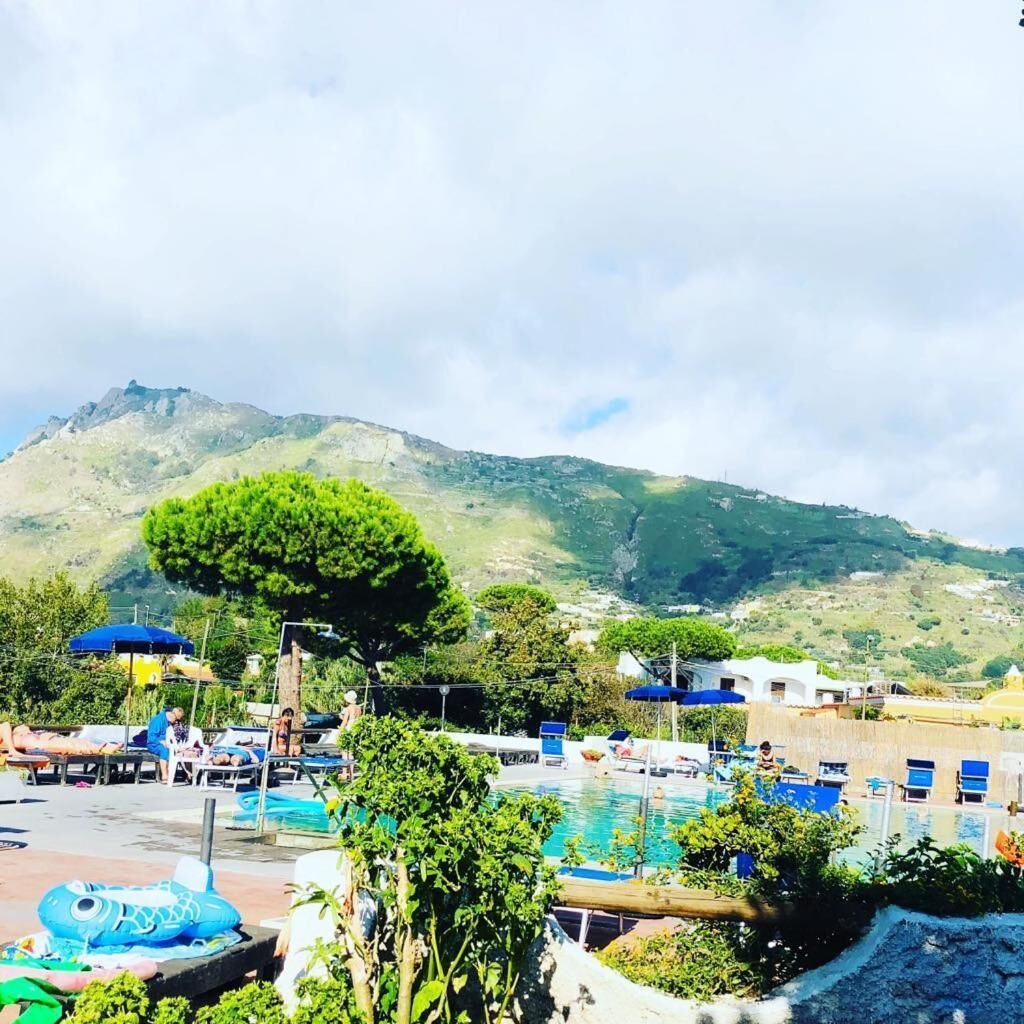 Foto - Hotel Al Bosco