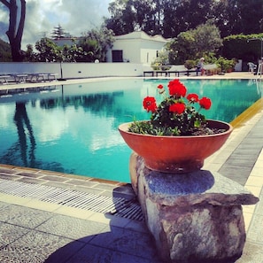 Outdoor pool, pool loungers - Hotel al Bosco (Forio)
