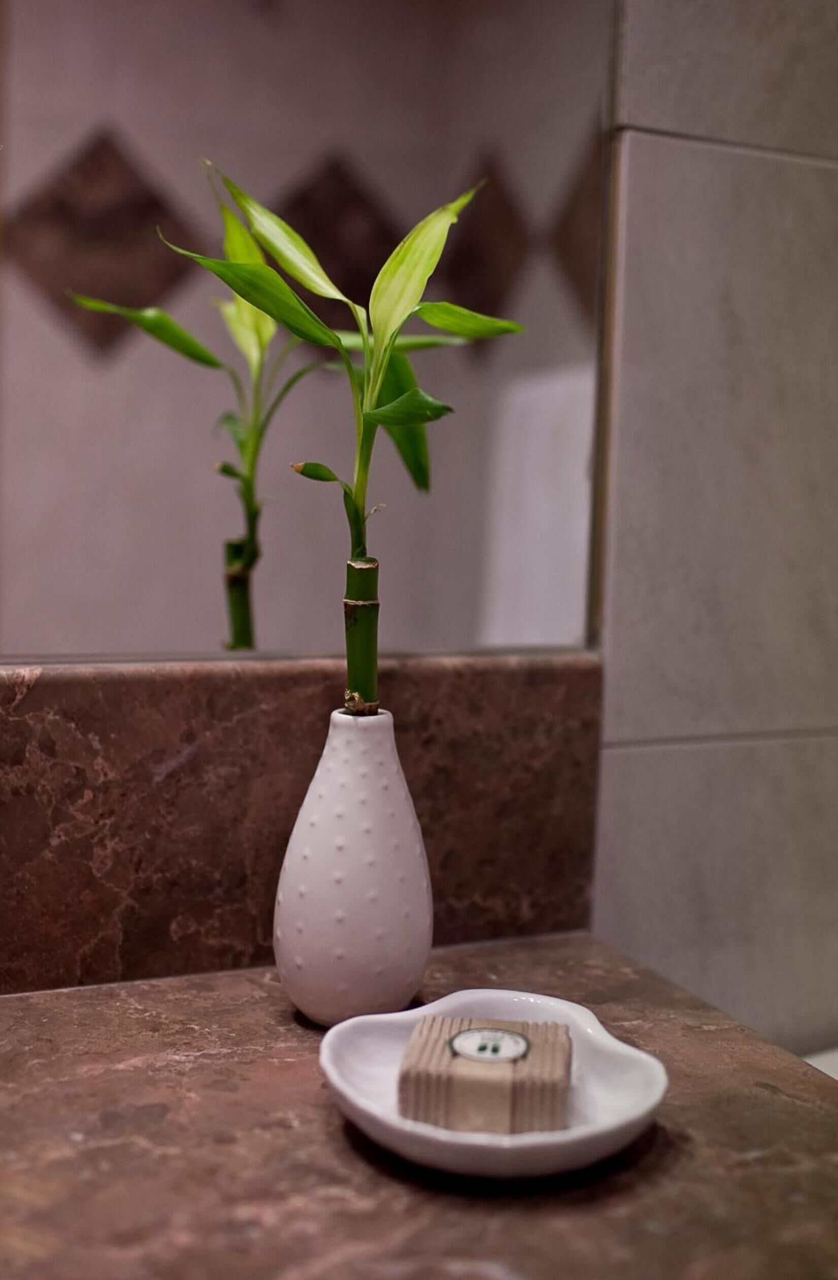 combined shower/bathtub, free toiletries, hair dryer, towels