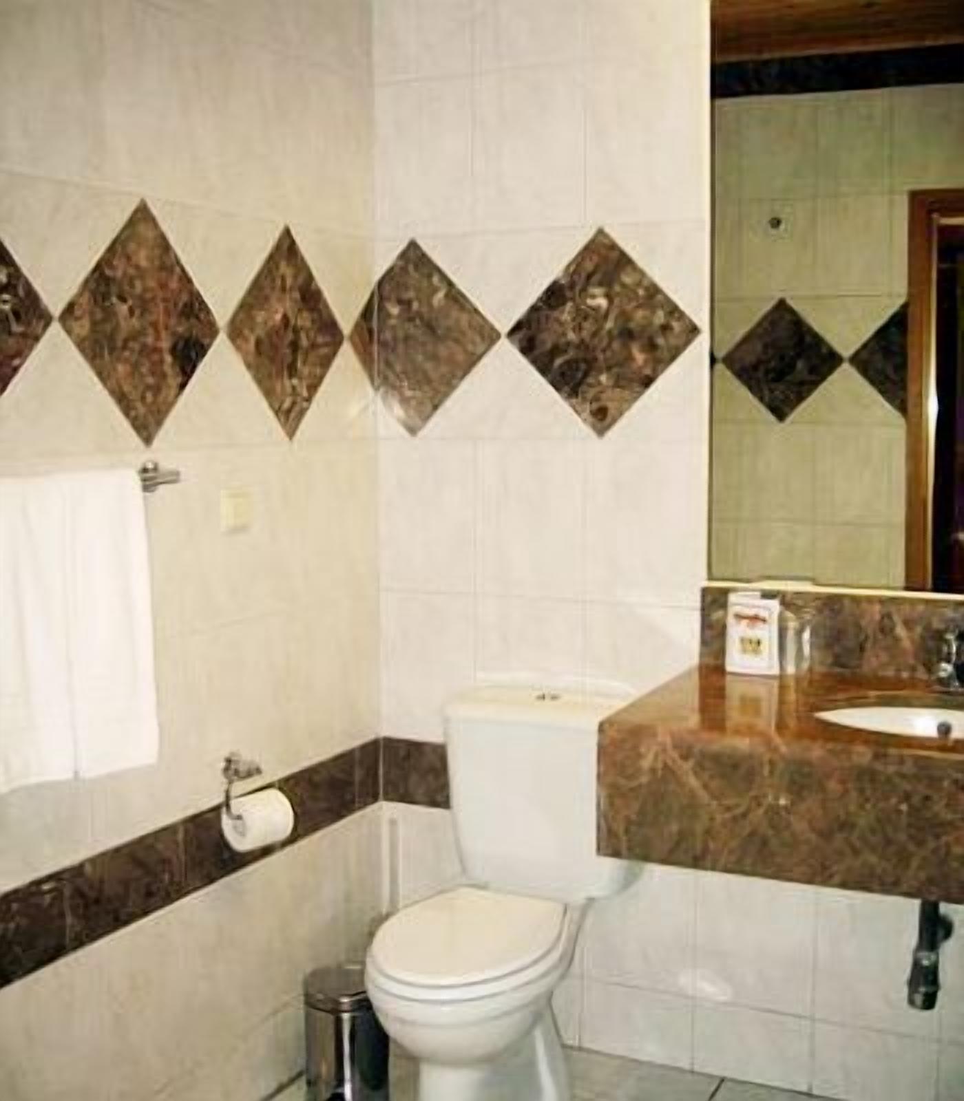 combined shower/bathtub, free toiletries, hair dryer, towels