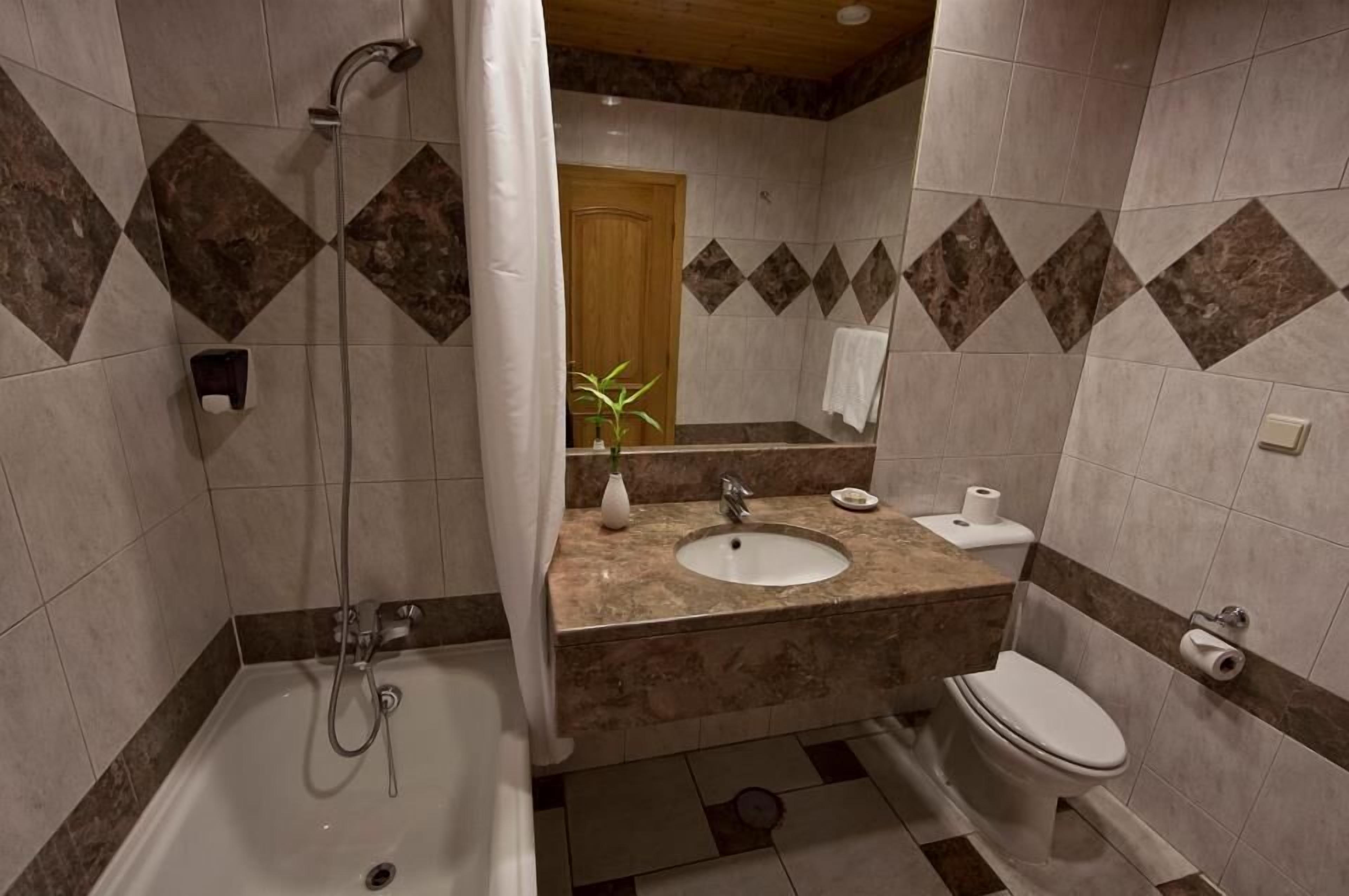 combined shower/bathtub, free toiletries, hair dryer, towels