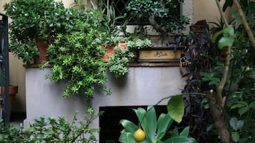 Jardin