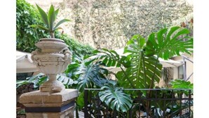 A stone fountain with a statue, surrounded by lush green plants. - Casa Barbero Charme & Rooms (Catania)