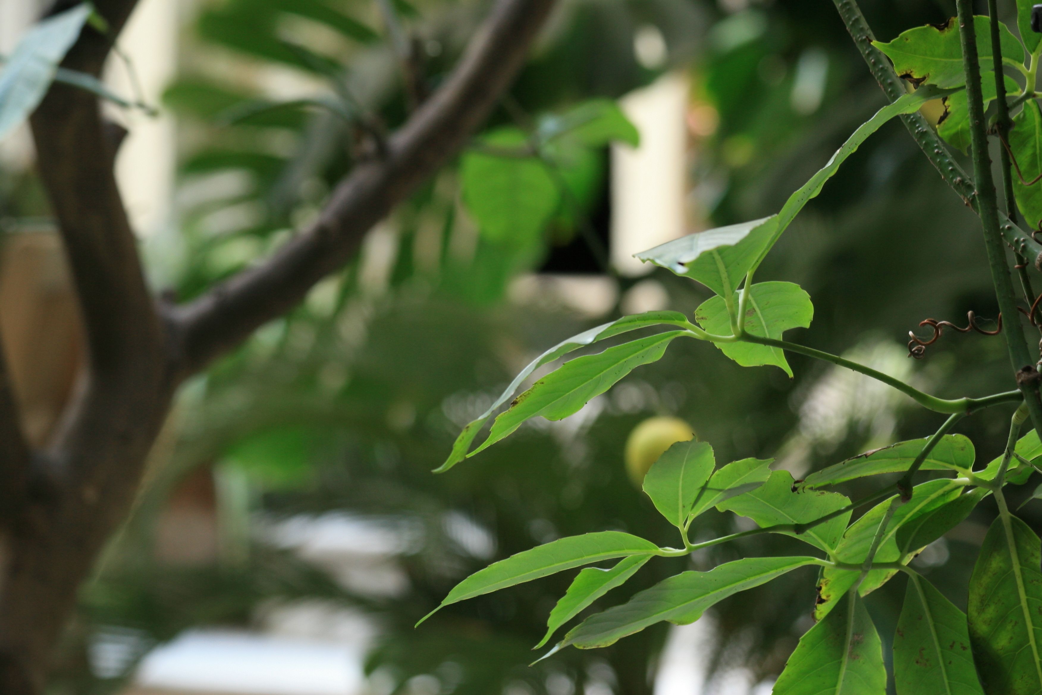 Foto - Casa Barbero Charme B&B