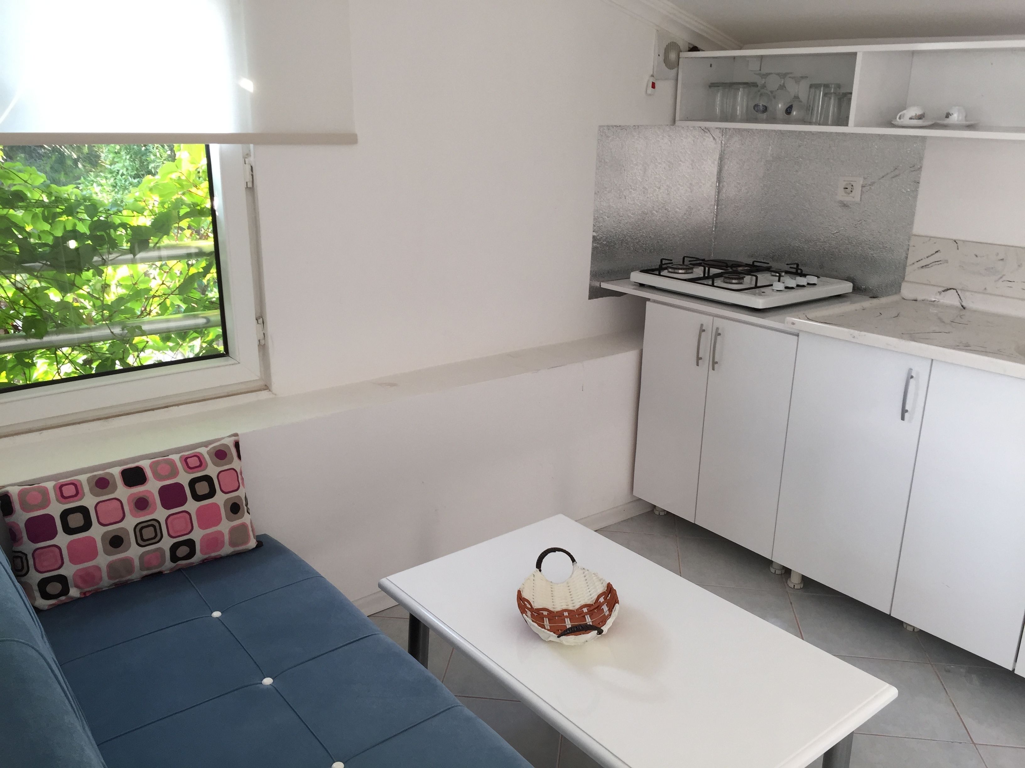 Family Apartment | Private kitchen | Fridge, coffee/tea maker