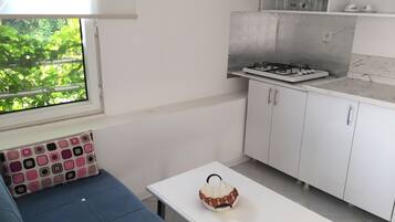 Family Apartment | Private kitchen | Fridge, coffee/tea maker