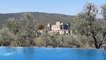 Seasonal outdoor pool, pool loungers