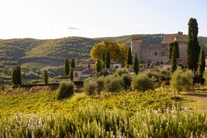 Front of property - Castello di Meleto (Gaiole in Chianti)