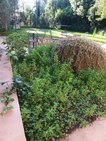 Um jardim com diversos tipos de plantas e uma área de estar com mesas e cadeiras.