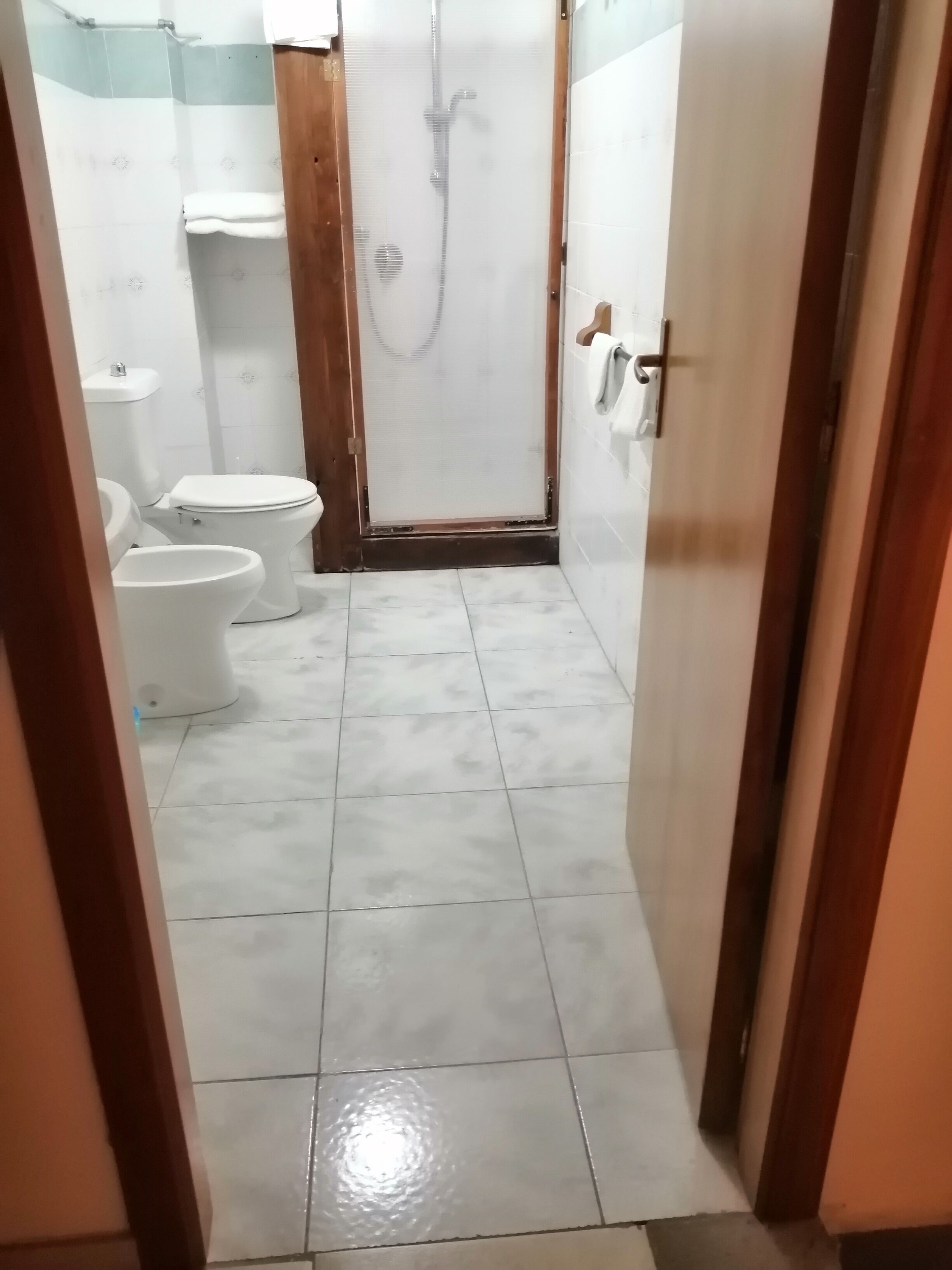 A narrow bathroom with two toilets, a shower area, and a tiled floor.