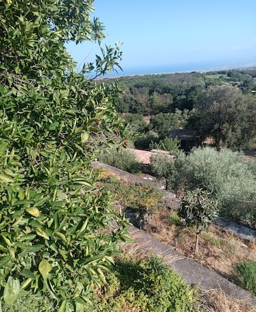 Exterior. Villa Aresco