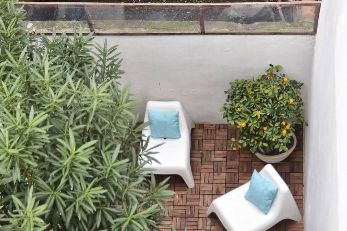 Garden view