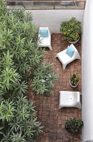 Garden view