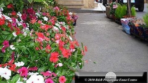 A narrow street with a building entrance, a flower bed with various flowers, and a parked motorcycle. - B&B Proserpina (Enna)