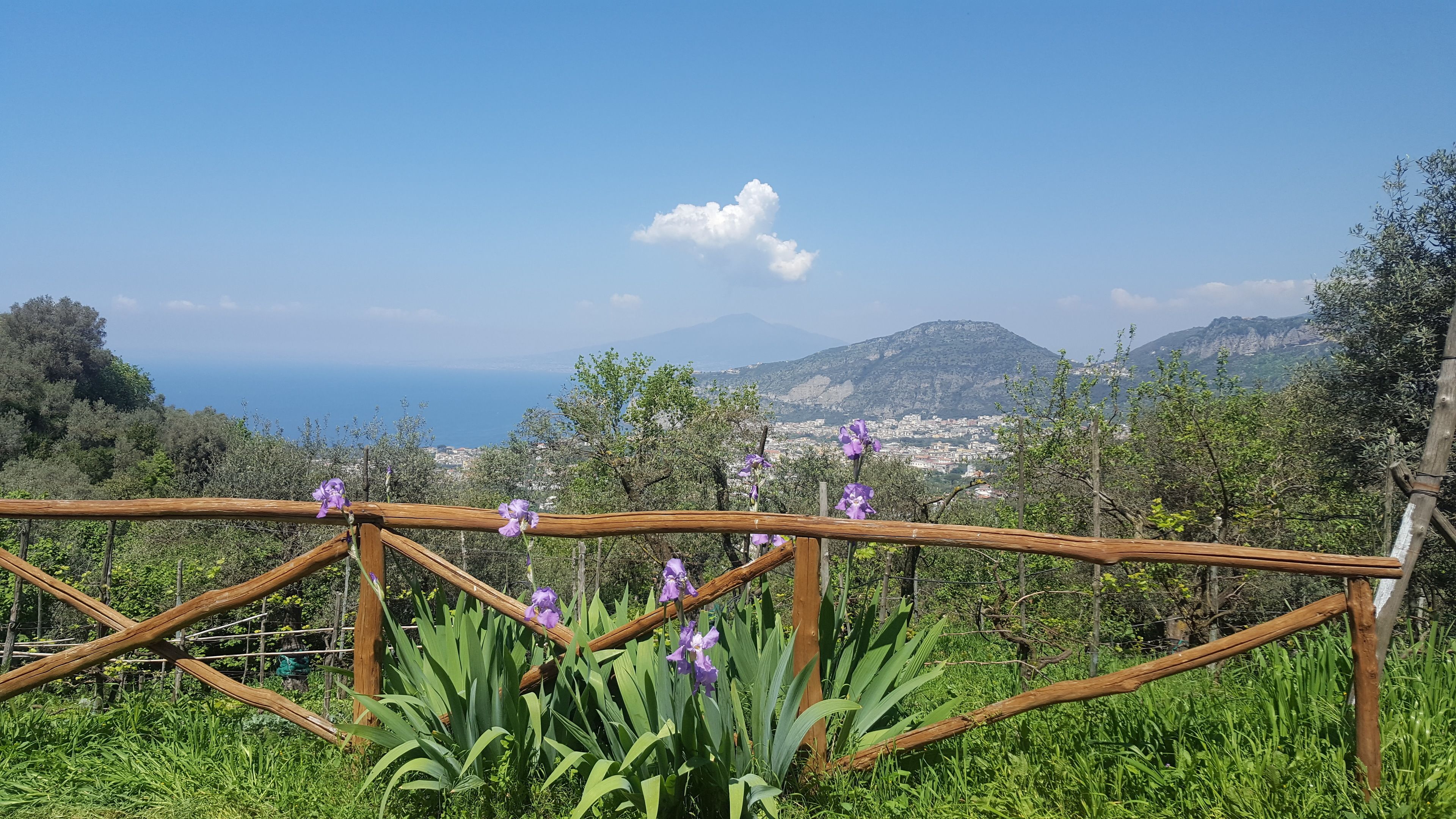 Foto - Gli Ulivi Agriturismo