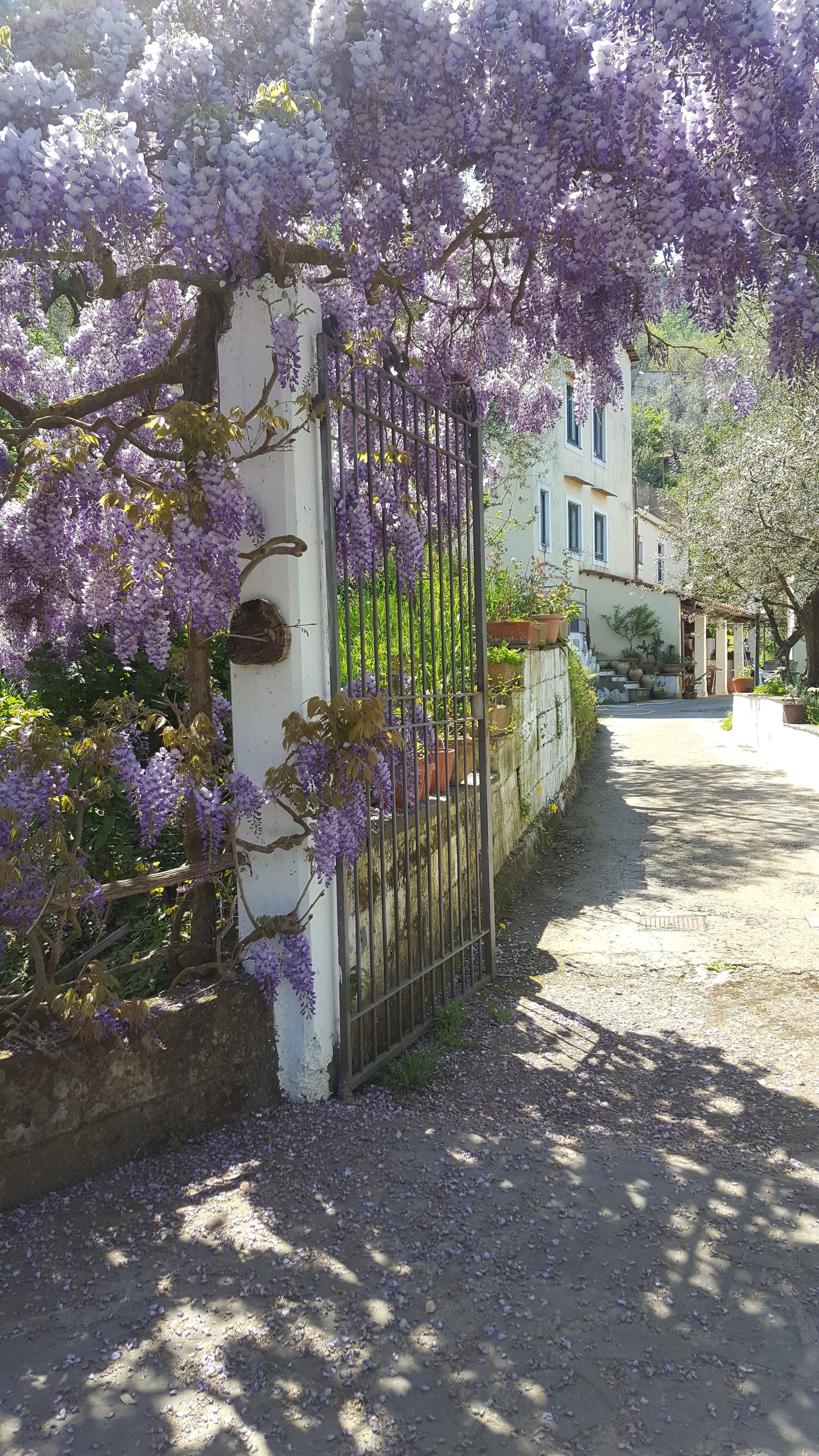 Entrée de l’hébergement