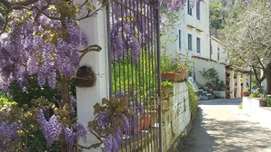 A gated area with purple flowering trees, a gravel path, and a building with multiple windows in the background.