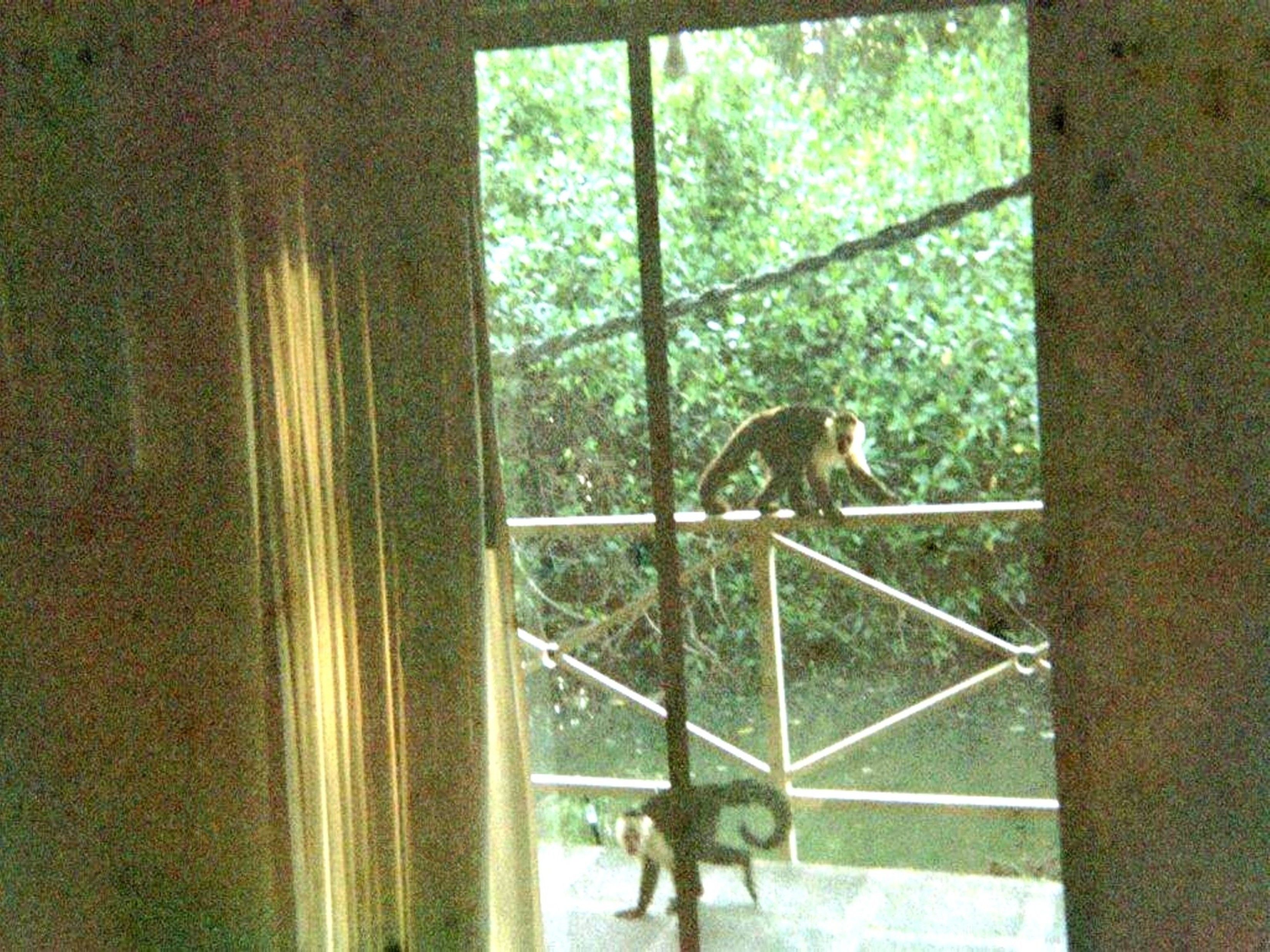 Suite Familiale | Vue de la chambre