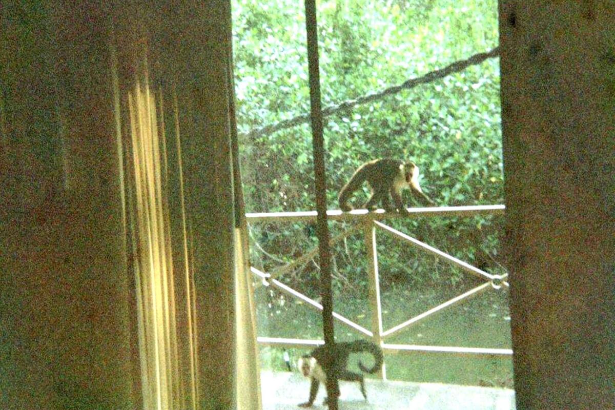 Suite Familiale | Vue de la chambre