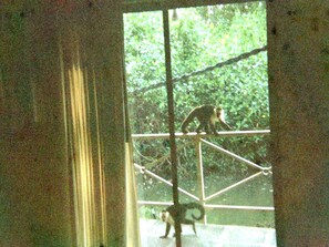 Suite Familiale | Vue de la chambre