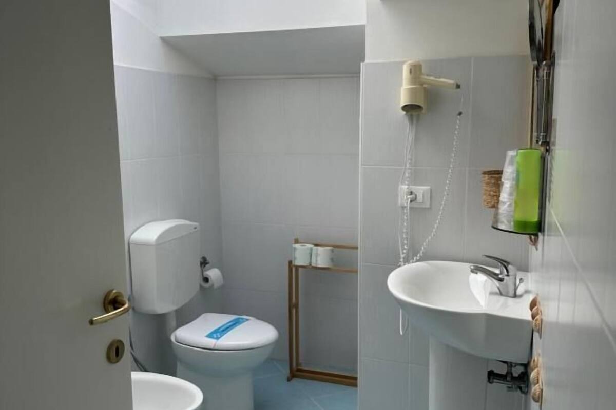 shower, free toiletries, hair dryer, bidet