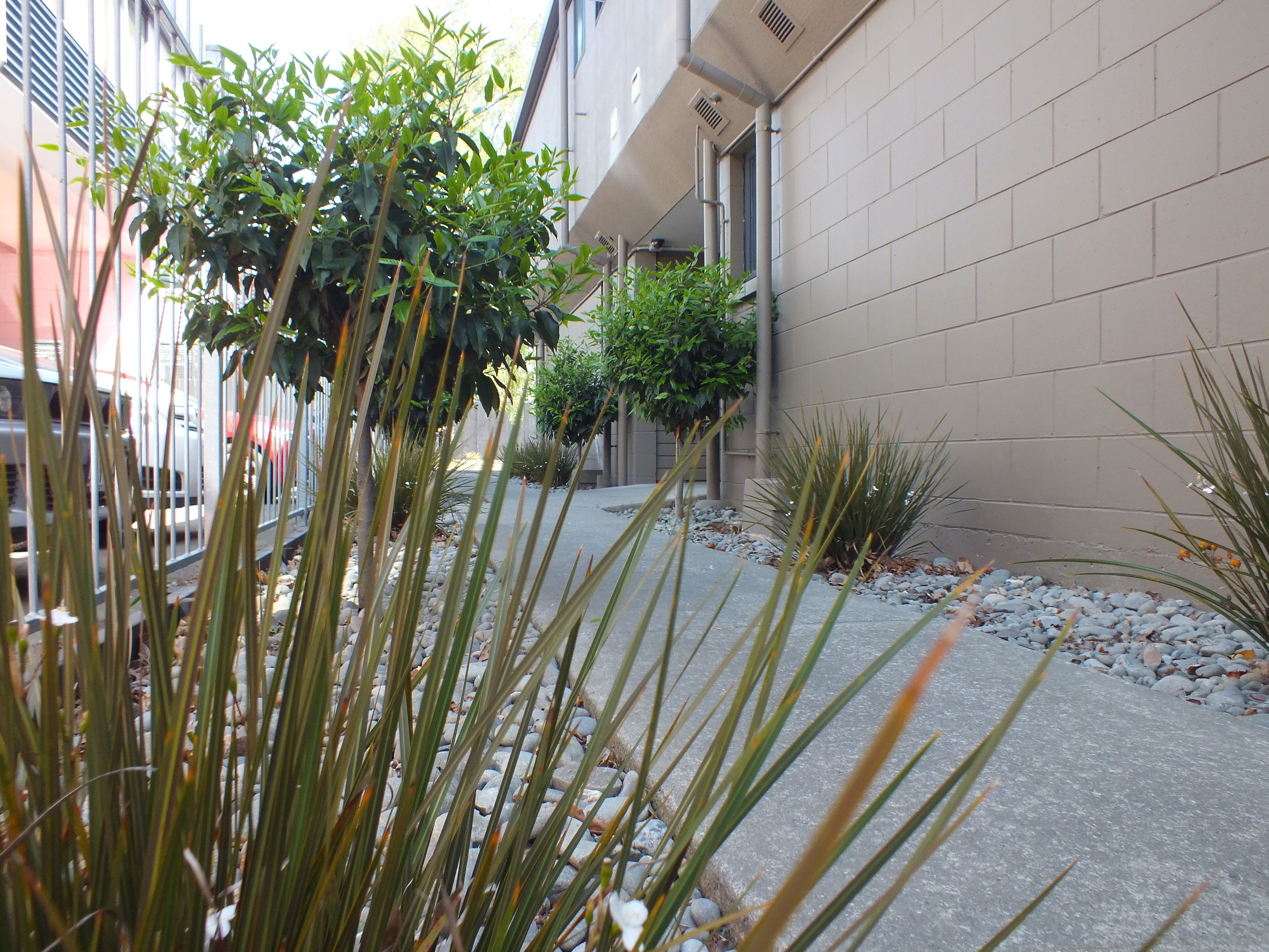 Photo - 136 On Bealey Motel