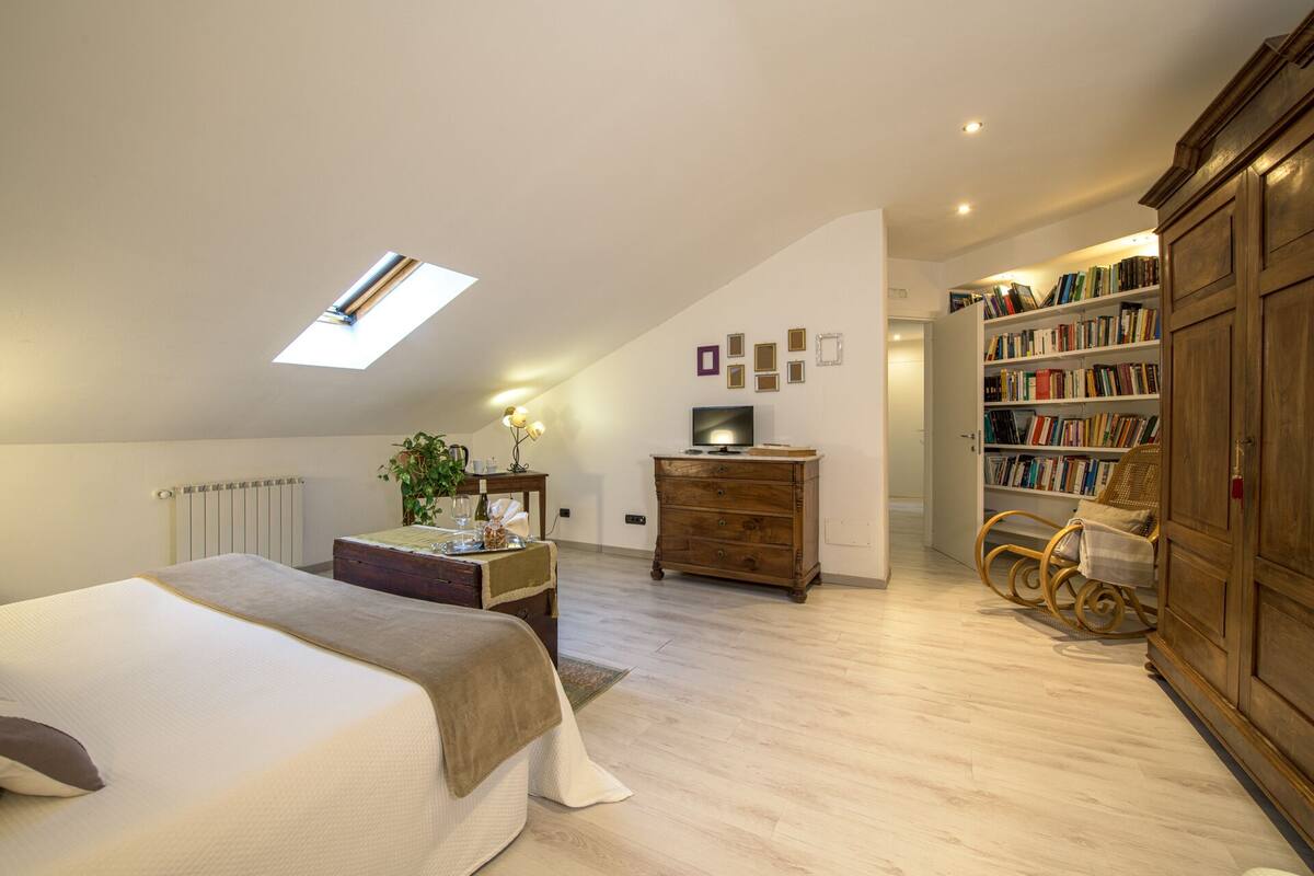 A bedroom with a skylight, a bed, a wooden dresser, a television, a bookshelf, and a chair.