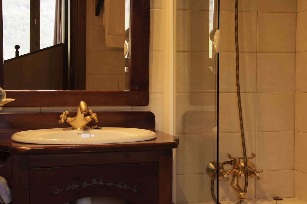 standard room | bathroom sink