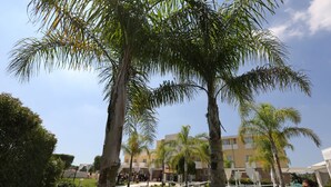 A courtyard with palm trees, a pool, and a building with multiple balconies. - Medea Resort (Bellona)