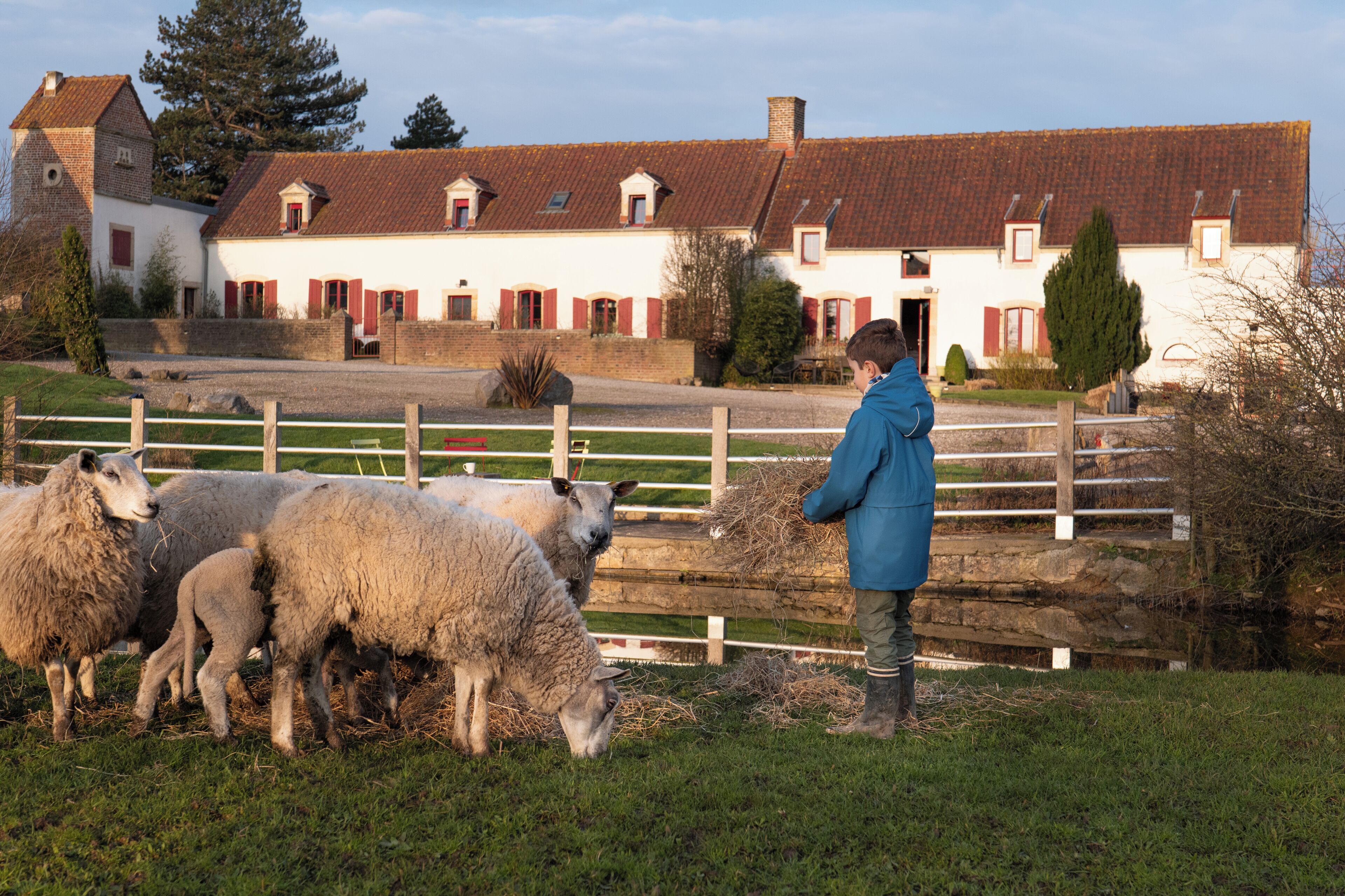 A rural setting with a farmstead, a fenced area, and a person tending to sheep.